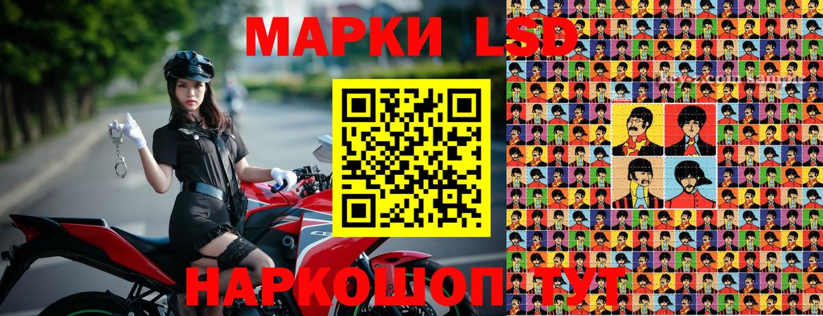 Вольск  Наркотические марки 1,8мг  Вход с VPN  Наркотические марки 1,8мг 