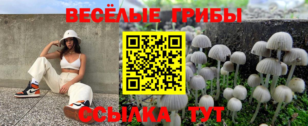 Галлюциногенные грибы Magic Shrooms Вольск