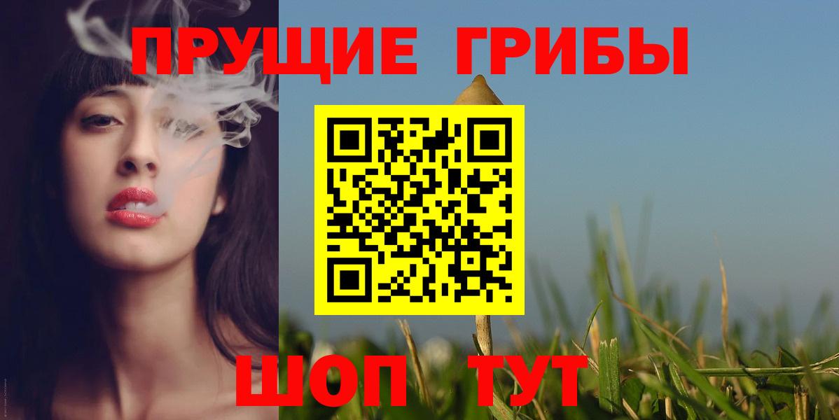 Псилоцибиновые грибы Psilocybe  Вход с VPN  Вольск  Псилоцибиновые грибы Psilocybe 